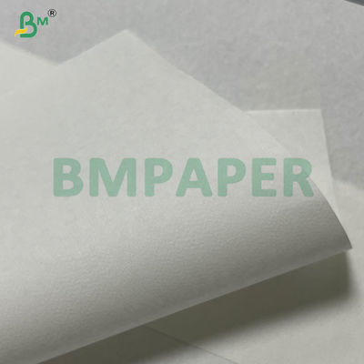 25gsm Foodgrade Bleached Coffee Paper For Hand Drip Coffee