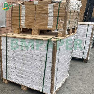 Digital Glossy Art Paper Sheets 12" X 18" Coated Gloss / Matt Paper 170gsm 250gsm