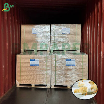 ورق تربية الدجاج البيضاء ورق الدجاج لتربية الدواجن 66cm 100cm