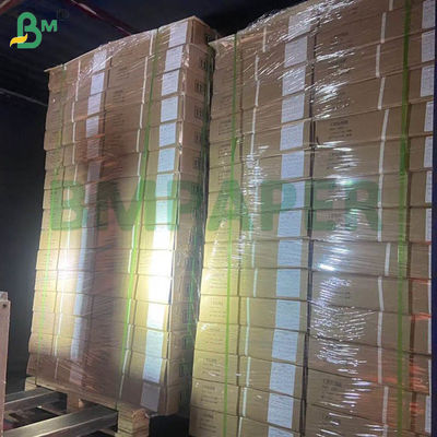 ورق تربية الدجاج البيضاء ورق الدجاج لتربية الدواجن 66cm 100cm