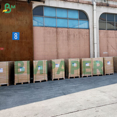 أوراق الكعك غير اللاصقة للخبز الورقية الملونة المقاومة للدهون