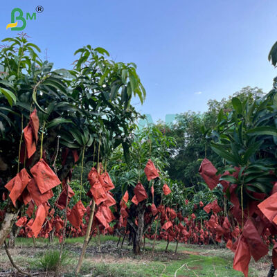 56 غرام من ورق الشمع الأحمر والأسود من جانب واحد لأكياس زراعة المانجو، ورق حماية الفاكهة المقاوم للطقس