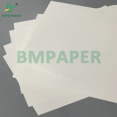 12pt Coated One Side C1S SBS Board For End Use Tobacco Packaging