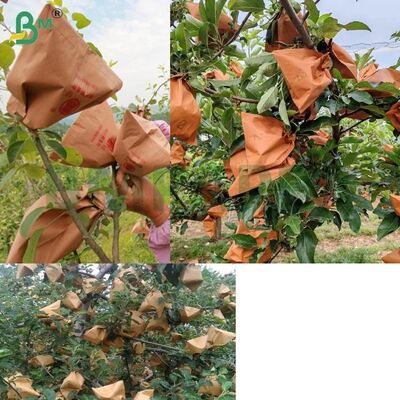 ورق تغليف الفاكهة الخارجي الأحمر لتغليف التفاح، ورق تغليف التفاح غير المشمع بوزن 56 جرامًا