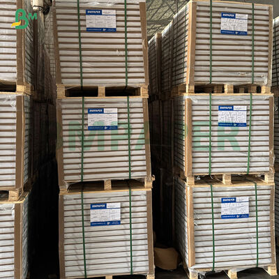 ورق كب كيك أبيض مقاوم للشحوم، أصفر، أخضر، للخبز