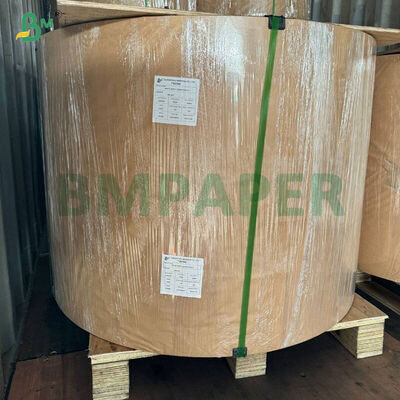 ورق كب كيك أبيض مقاوم للشحوم، أصفر، أخضر، للخبز