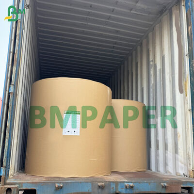 مناديل ورقية عالية الامتصاص للزيت، مادة خام ورقية، 50 جرام لكل متر مربع، لون أبيض