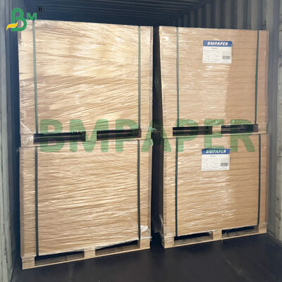 الميكروويف - ورق غذائي آمن لأطباق ورقية، أكواب مقاومة للقطع