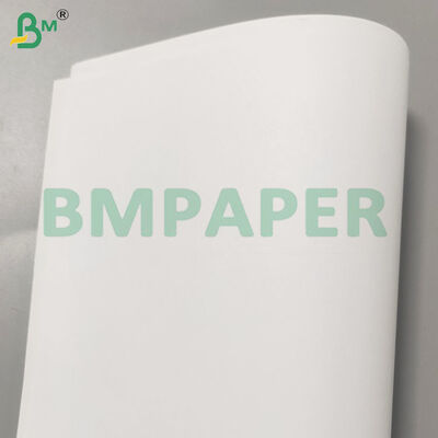 70/80gsm Wood-free Good Printing Jumbo Rolls for Exercise Books