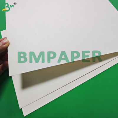 Leak - proof 260gsm + 15g PE Coated Paper For Instant Noodle Bowl Oil Resistant