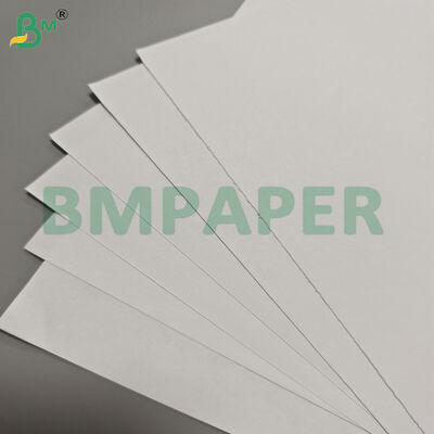 80/90gsm Woodfree Offset Printing Paper Jumbo Rolls for Books