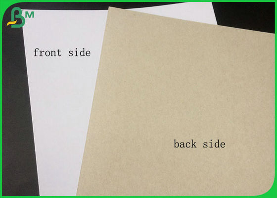 FSC مصدق الجانب المزدوج المغلفة المجلس الأبيض مع عودة رمادي في التعبئة لفة كبيرة