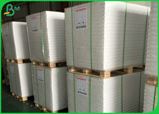 300GSM FSC SGS بكرة ورق أبيض لامع مع مادة لب طبيعية 100٪