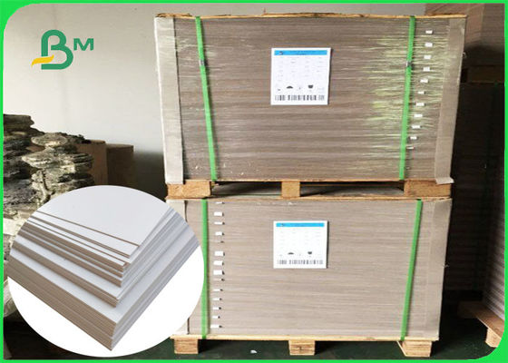 250GSM و 350GSM صفائح لوح قابلة للطي FSC معتمدة من الدرجة AAA 787 * 1092MM