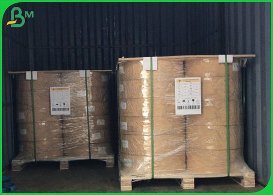 50gsm - 300gsm FDA FSC ورق مطلي بـ PE لتعبئة المواد الغذائية