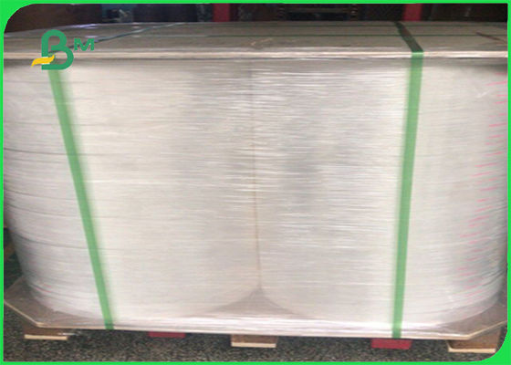 FDA FSC Color مطبوع على شكل ورقة / ورقة الشرب القش من 15 ملم إلى 600 ملم