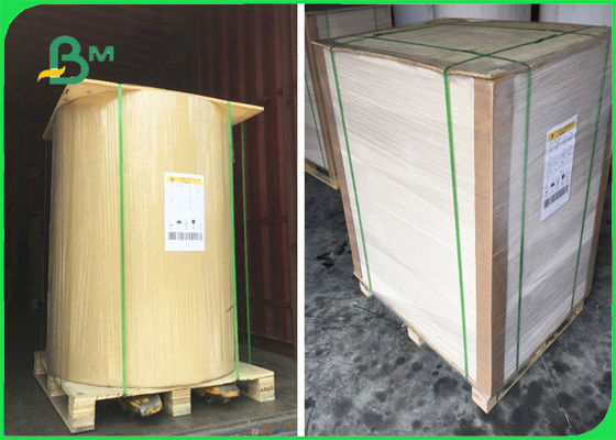 ورق كرافت مع ورق جانبي معتمد من قِبل FSC في صفائح جانب واحد أبيض 32 × 40 بوصة