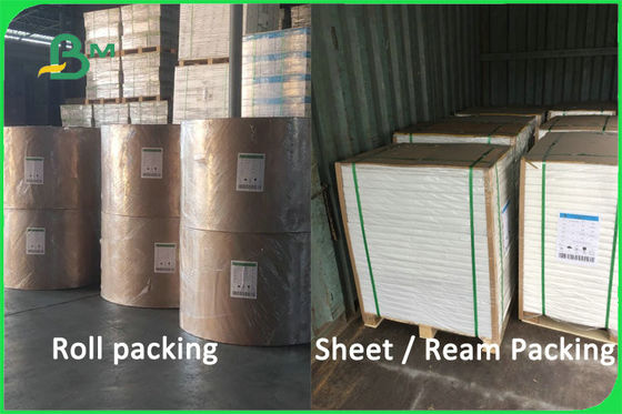 100 ٪ عذراء لب قابلة للتحلل غير مصقول ورقة كأس المواد 170 - 300gsm FDA FSC