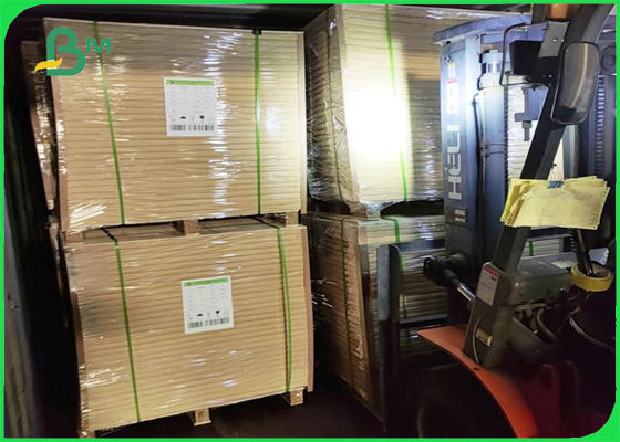 ورقة الغذاء الصف PE جانب واحد مغلفة Cupstock ورقة 210g ورقة 10g PE