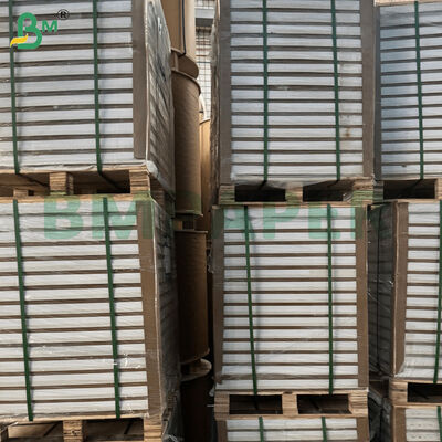 صفائح ورقية لامعة مزدوجة الجانب C2S مقاس 787 مم * 1092 مم للمجلة