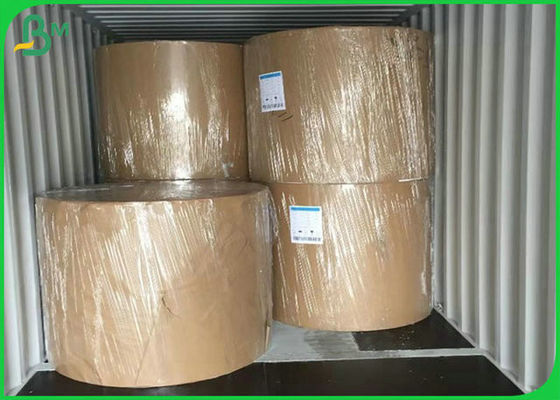 مواد صديقة للبيئة 300G PE المغلفة ورقة لصنع صندوق الغداء